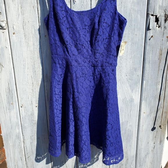 NWT Aeropostale Royal Blue Lace Dress - Picture 8 of 8